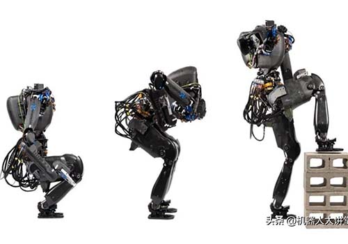 Le meilleur robot humanoïde bipède organise une « émission de téléréalité sur la boxe »
        