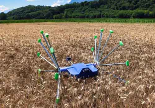 Le robot SentiV peut se déplacer à travers les champs, se roulant pour inspecter les cultures