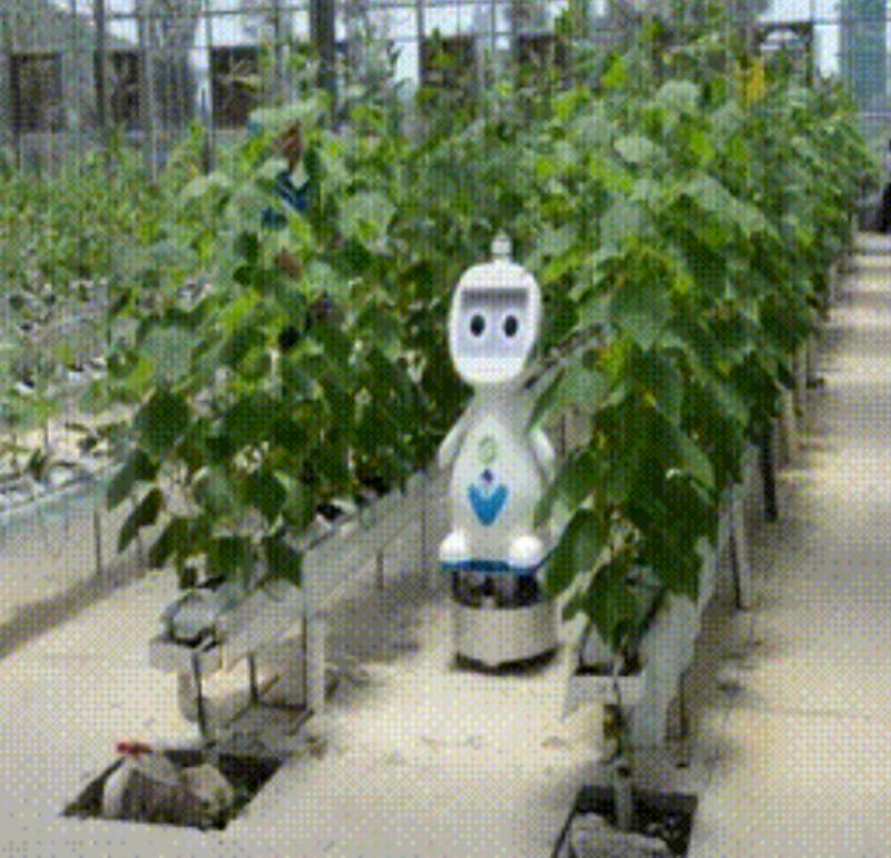 planting robot