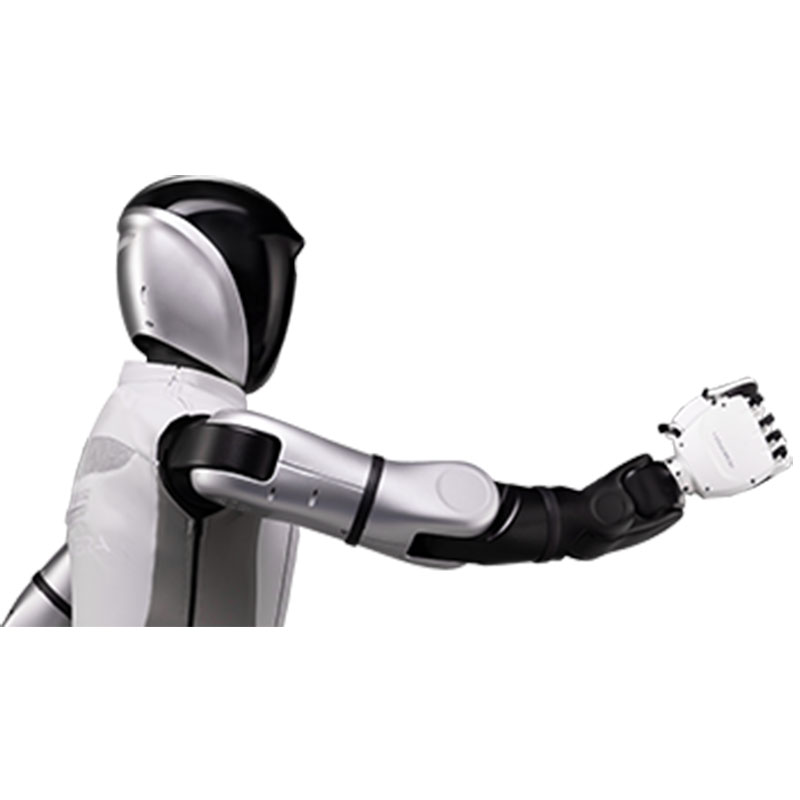 AGI Humanoid Robot 