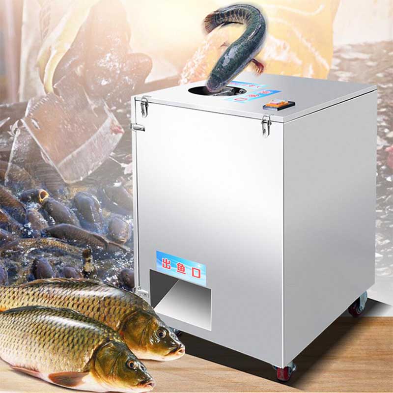 automatic fish cutting machine