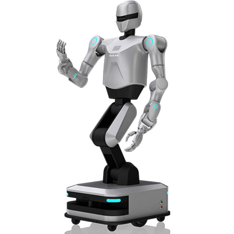 wheeled dual-arm Robot