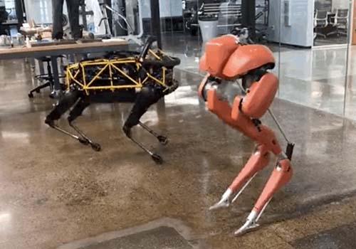 Sous le choc! Le robot bipède Cassie bat le record du monde Guinness du 100 mètres en 24,73 secondes
