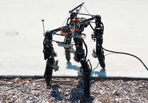 L'évolution des robots quadrupèdes n'est à s'adapter au terrain complexe